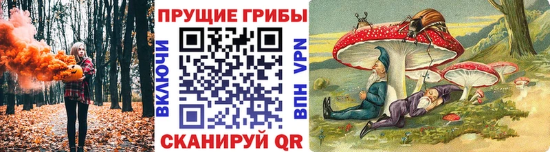 дарнет шоп  МЕГА   Псилоцибиновые грибы GOLDEN TEACHER  Наволоки 